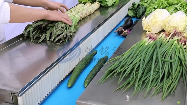 Máy đóng gói rau quả hướng tới tự động hóa và thông minh hơn